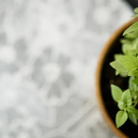 Appart hôtel Seranides Boutique