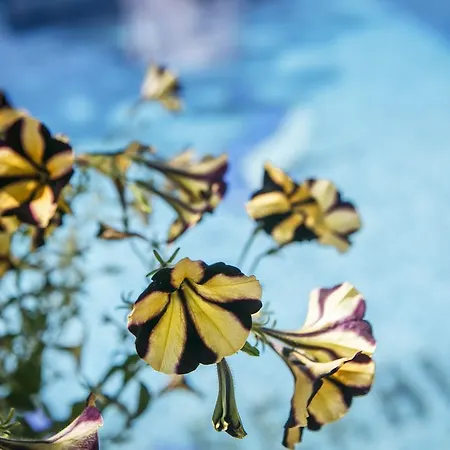 Seranides Boutique Appart hôtel 2*