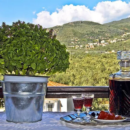 公寓式酒店 Seranides Boutique